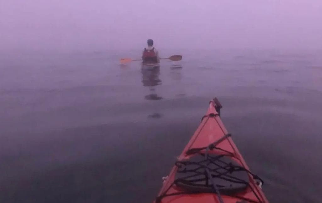 Una aventura en kayak: Excursión a Isla de Lobos