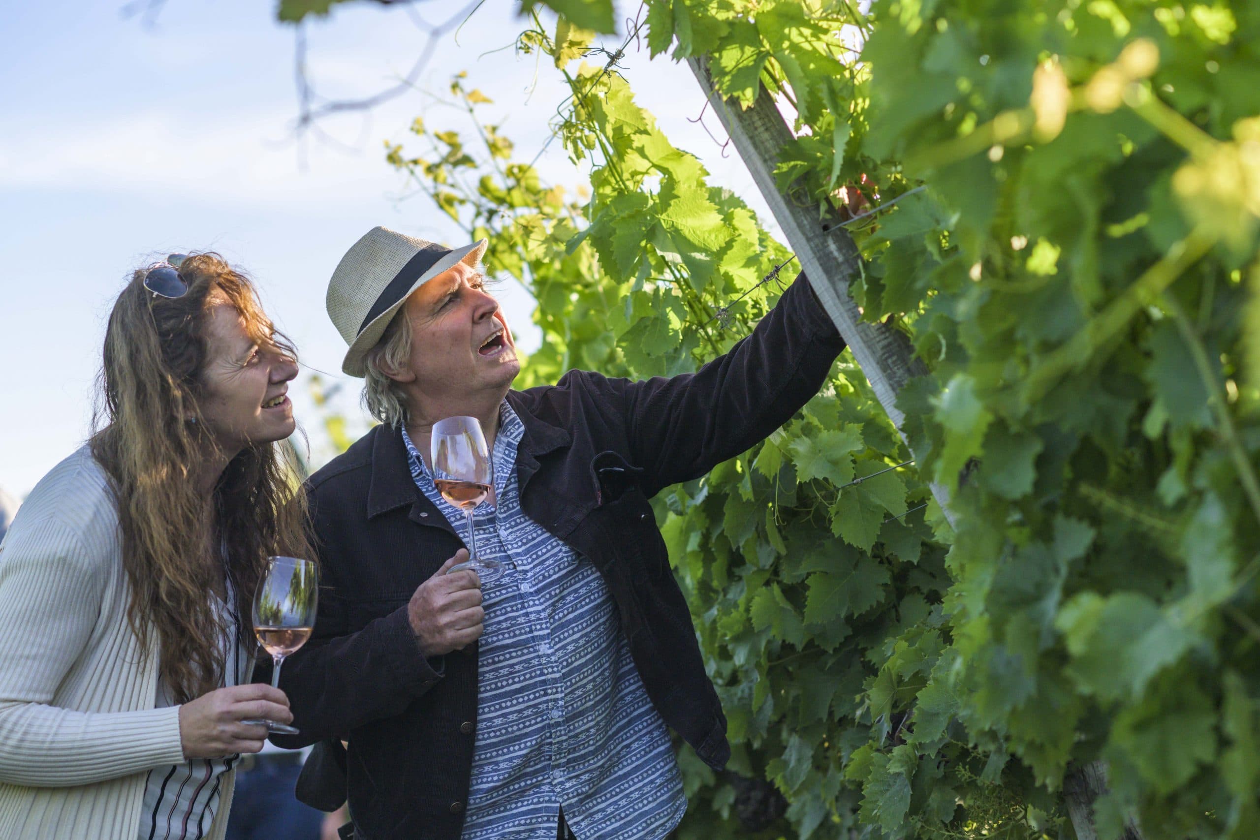 Intendencia de Canelones: un destino para vivir de enero a Diciembre