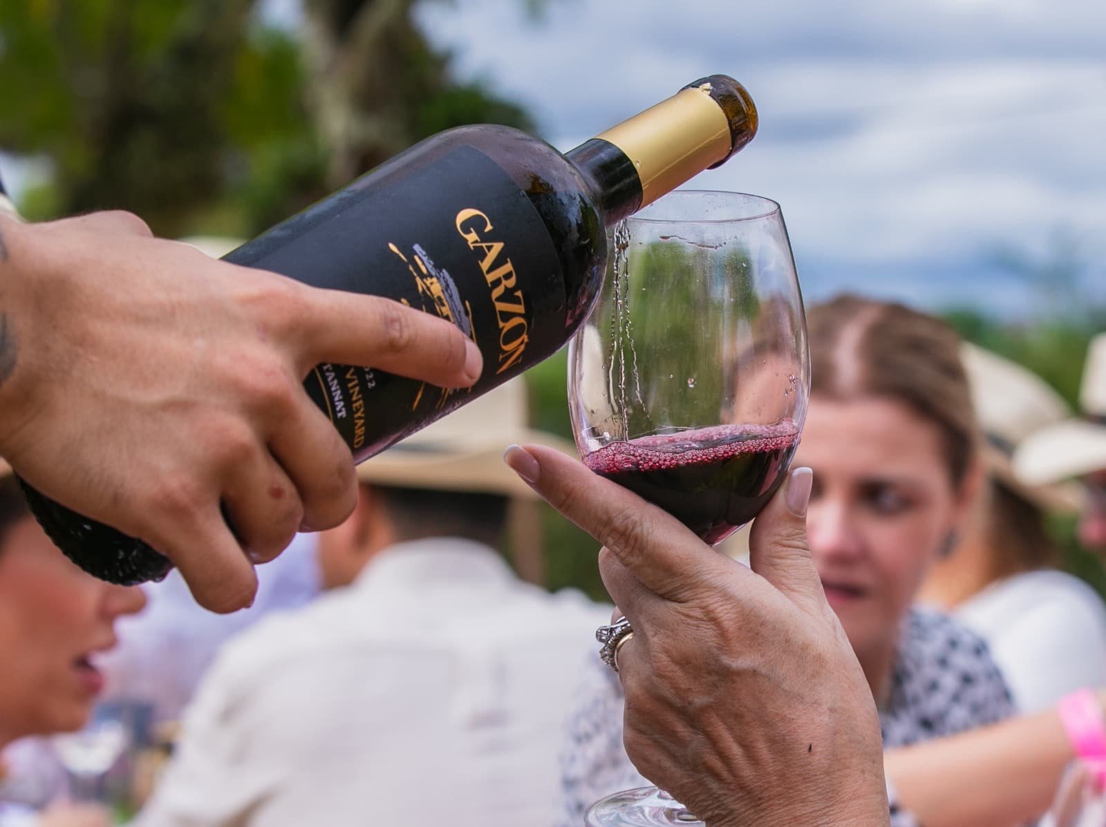 Bodega Garzón: fiesta de la vendimia 2024