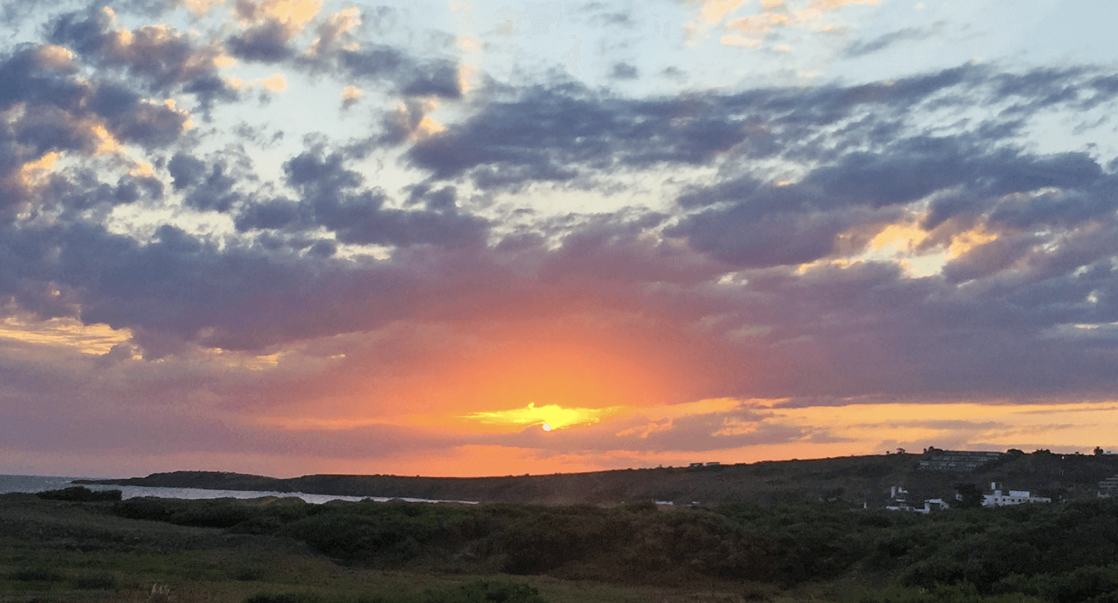 Manual para leer el cielo de Punta del Este