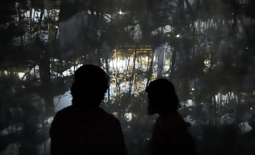 Captura de pantalla 2026-01-30 a las 12.45.36 p. m. Captura de pantalla 2026-01-30 a las 12.45.36 p. m.